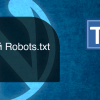 Правильный Robots.txt для WordPress