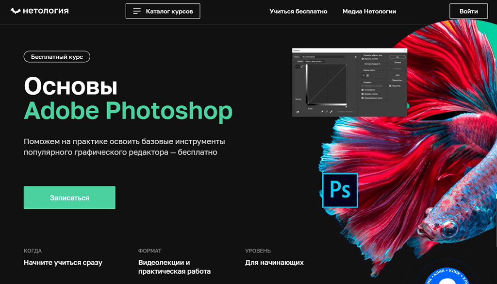 Основы Adobe Photoshop от Нетологии