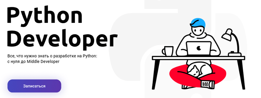 Обложка курса «Python Developer» от OTUS